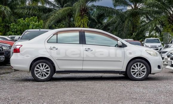 Buy Used Toyota Vios White Car in Bangkok in Bangkok Buy Used Toyota Vios White Car in Bangkok in Bangkok