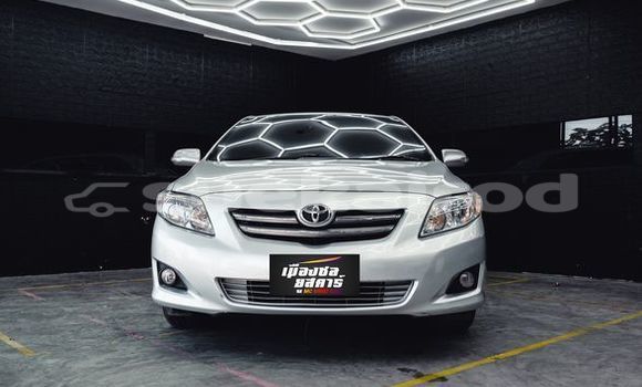 Buy Used Toyota Altis Silver Car in Bangkok in Bangkok Buy Used Toyota Altis Silver Car in Bangkok in Bangkok