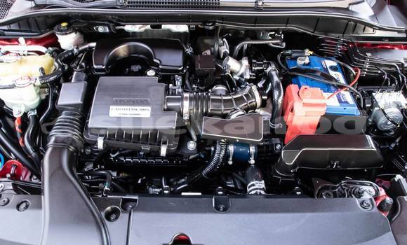 Buy Used Honda City Red Car in Bangkok in Bangkok Buy Used Honda City Red Car in Bangkok in Bangkok