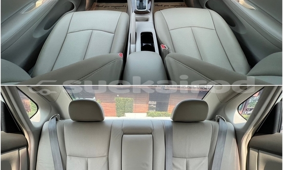 ซื้อ รถมือสอง Nissan Sylphy ขาว รถยนต์ ใน %{เมือง} ใน กรุงเทพมหานคร ซื้อ รถมือสอง Nissan Sylphy ขาว รถยนต์ ใน %{เมือง} ใน กรุงเทพมหานคร