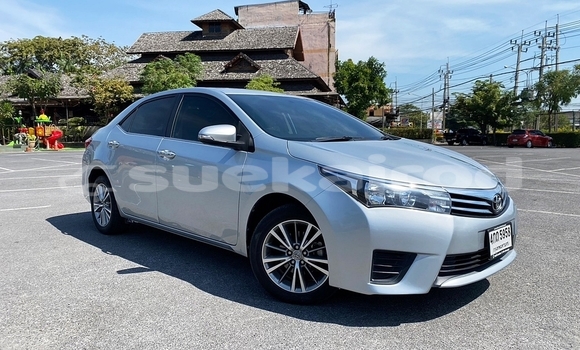 Buy Used Toyota Altis Other Car in Bangkok in Bangkok