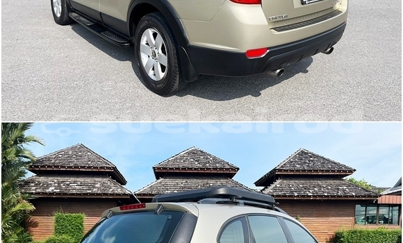 ซื้อ รถมือสอง Chevrolet Captiva สีน้ำตาล รถยนต์ ใน %{เมือง} ใน กรุงเทพมหานคร ซื้อ รถมือสอง Chevrolet Captiva สีน้ำตาล รถยนต์ ใน %{เมือง} ใน กรุงเทพมหานคร