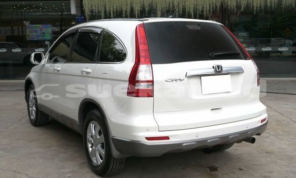 ซื้อ รถมือสอง Honda CR-V ขาว รถยนต์ ใน %{เมือง} ใน กรุงเทพมหานคร ซื้อ รถมือสอง Honda CR-V ขาว รถยนต์ ใน %{เมือง} ใน กรุงเทพมหานคร