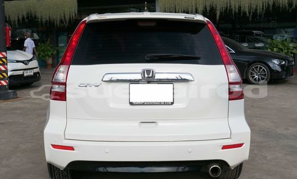 ซื้อ รถมือสอง Honda CR-V ขาว รถยนต์ ใน %{เมือง} ใน กรุงเทพมหานคร ซื้อ รถมือสอง Honda CR-V ขาว รถยนต์ ใน %{เมือง} ใน กรุงเทพมหานคร