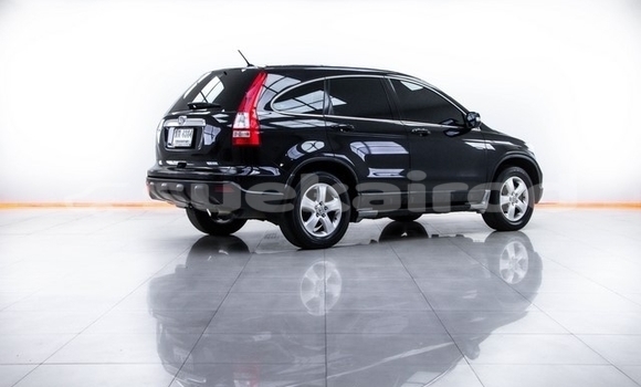 Buy Used Honda CR–V Black Car in Bangkok in Bangkok Buy Used Honda CR–V Black Car in Bangkok in Bangkok