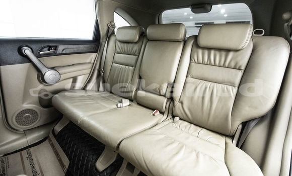 Buy Used Honda CRâV Brown Car in Bangkok in Bangkok Buy Used Honda CRâV Brown Car in Bangkok in Bangkok