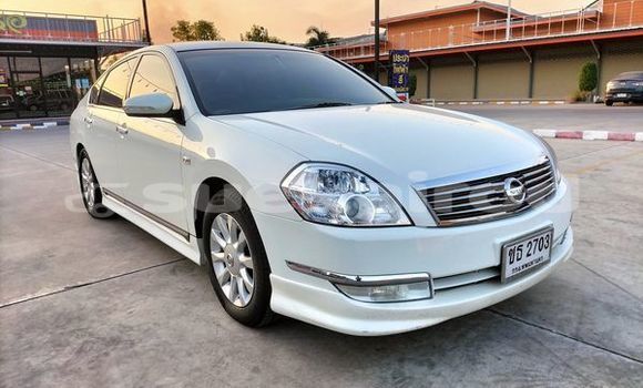 ซื้อ รถมือสอง Nissan Teana ขาว รถยนต์ ใน %{เมือง} ใน กรุงเทพมหานคร ซื้อ รถมือสอง Nissan Teana ขาว รถยนต์ ใน %{เมือง} ใน กรุงเทพมหานคร