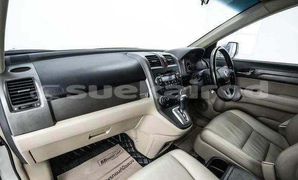 Buy Used Honda CR-V Brown Car in Bangkok in Bangkok Buy Used Honda CR-V Brown Car in Bangkok in Bangkok