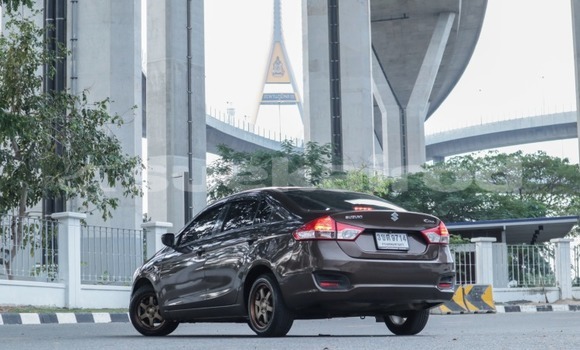Buy Used Suzuki Ciaz Brown Car in Bangkok in Bangkok Buy Used Suzuki Ciaz Brown Car in Bangkok in Bangkok