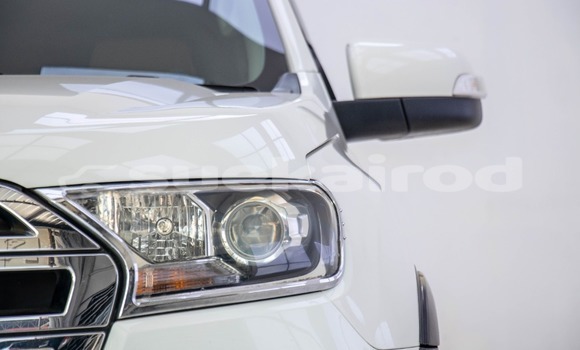 Buy Used Ford Everest White Car in Bangkok in Bangkok Buy Used Ford Everest White Car in Bangkok in Bangkok