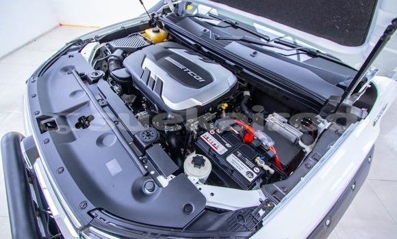 Buy Used MG F White Car in Bangkok in Bangkok Buy Used MG F White Car in Bangkok in Bangkok