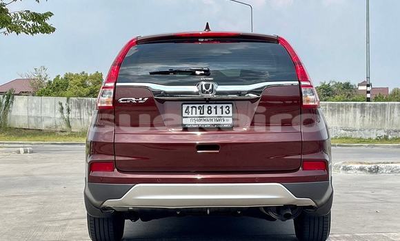 Buy Used Honda CRâV Brown Car in Bangkok in Bangkok Buy Used Honda CRâV Brown Car in Bangkok in Bangkok
