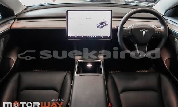Buy Used Tesla Model 3 Black Car in Bangkok in Bangkok Buy Used Tesla Model 3 Black Car in Bangkok in Bangkok