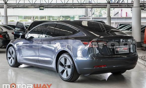 Buy Used Tesla Model 3 Black Car in Bangkok in Bangkok Buy Used Tesla Model 3 Black Car in Bangkok in Bangkok