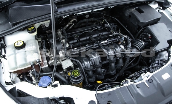 Buy Used Ford Focus White Car in Samut Sakhon in Samut Sakhon Buy Used Ford Focus White Car in Samut Sakhon in Samut Sakhon