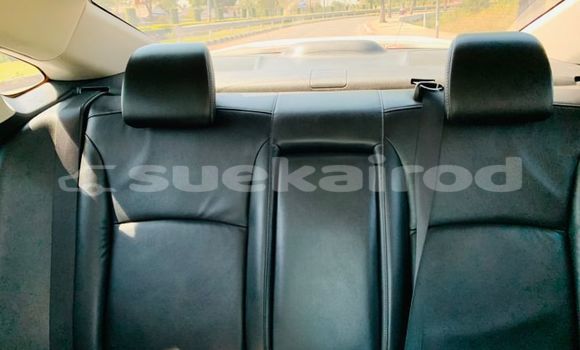 ซื้อ รถมือสอง Honda Civic ขาว รถยนต์ ใน %{เมือง} ใน กรุงเทพมหานคร ซื้อ รถมือสอง Honda Civic ขาว รถยนต์ ใน %{เมือง} ใน กรุงเทพมหานคร