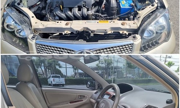 ซื้อ รถมือสอง Toyota Vios อื่น ๆ รถยนต์ ใน %{เมือง} ใน กรุงเทพมหานคร ซื้อ รถมือสอง Toyota Vios อื่น ๆ รถยนต์ ใน %{เมือง} ใน กรุงเทพมหานคร