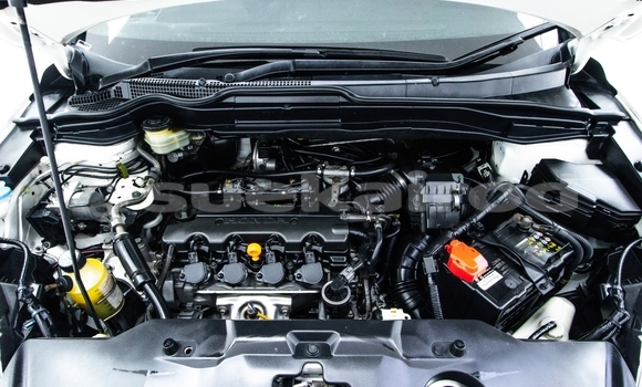 ซื้อ รถมือสอง Honda CR–V ขาว รถยนต์ ใน %{เมือง} ใน กรุงเทพมหานคร ซื้อ รถมือสอง Honda CR–V ขาว รถยนต์ ใน %{เมือง} ใน กรุงเทพมหานคร