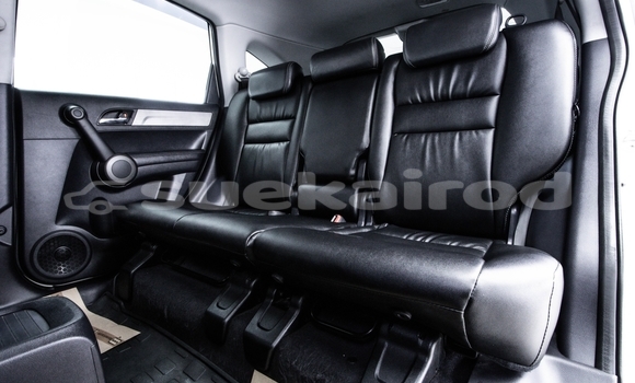 ซื้อ รถมือสอง Honda CR–V ขาว รถยนต์ ใน %{เมือง} ใน กรุงเทพมหานคร ซื้อ รถมือสอง Honda CR–V ขาว รถยนต์ ใน %{เมือง} ใน กรุงเทพมหานคร