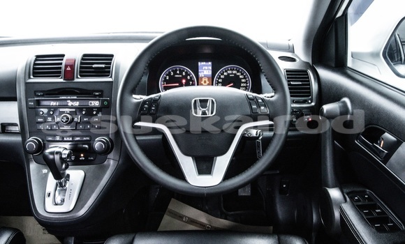 ซื้อ รถมือสอง Honda CR–V ขาว รถยนต์ ใน %{เมือง} ใน กรุงเทพมหานคร ซื้อ รถมือสอง Honda CR–V ขาว รถยนต์ ใน %{เมือง} ใน กรุงเทพมหานคร