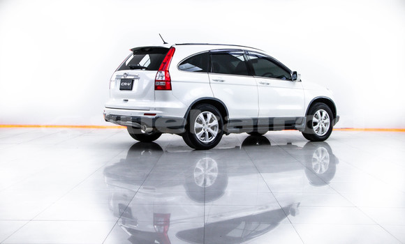 Buy Used Honda CR-V White Car in Bangkok in Bangkok Buy Used Honda CR-V White Car in Bangkok in Bangkok