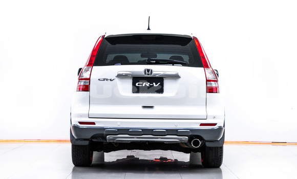 Buy Used Honda CR-V White Car in Bangkok in Bangkok Buy Used Honda CR-V White Car in Bangkok in Bangkok