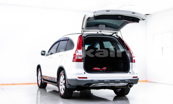 Buy Used Honda CR-V White Car in Bangkok in Bangkok Buy Used Honda CR-V White Car in Bangkok in Bangkok