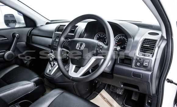 Buy Used Honda CR-V White Car in Bangkok in Bangkok Buy Used Honda CR-V White Car in Bangkok in Bangkok