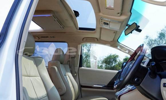 Buy Used Toyota Alphard White Car in Bangkok in Bangkok Buy Used Toyota Alphard White Car in Bangkok in Bangkok