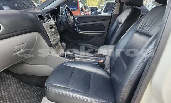 Buy Used Ford Focus White Car in Bangkok in Bangkok Buy Used Ford Focus White Car in Bangkok in Bangkok