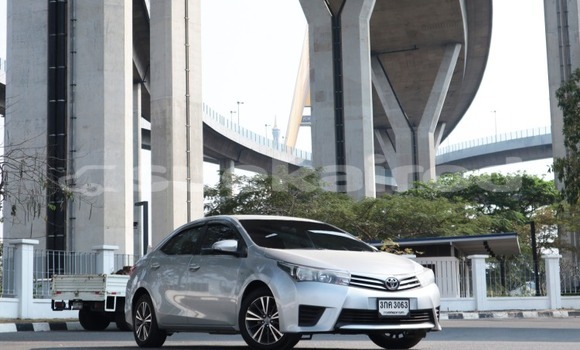 Buy Used Toyota Altis Silver Car in Bangkok in Bangkok