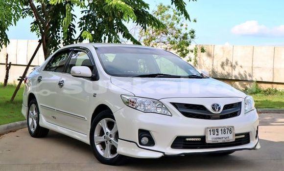 Buy Used Toyota Altis White Car in Bangkok in Bangkok