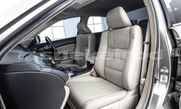 Buy Used Honda Accord Brown Car in Bangkok in Bangkok Buy Used Honda Accord Brown Car in Bangkok in Bangkok