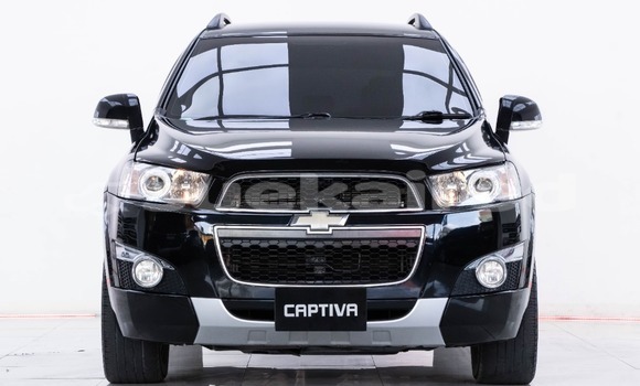 ซื้อ รถมือสอง Chevrolet Captiva สีดำ รถยนต์ ใน %{เมือง} ใน กรุงเทพมหานคร ซื้อ รถมือสอง Chevrolet Captiva สีดำ รถยนต์ ใน %{เมือง} ใน กรุงเทพมหานคร