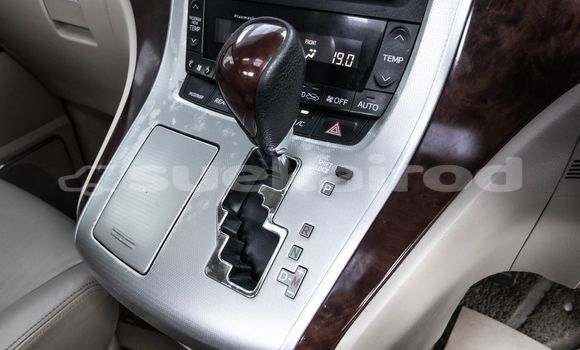 Buy Used Toyota Alphard Other Car in Bangkok in Bangkok Buy Used Toyota Alphard Other Car in Bangkok in Bangkok