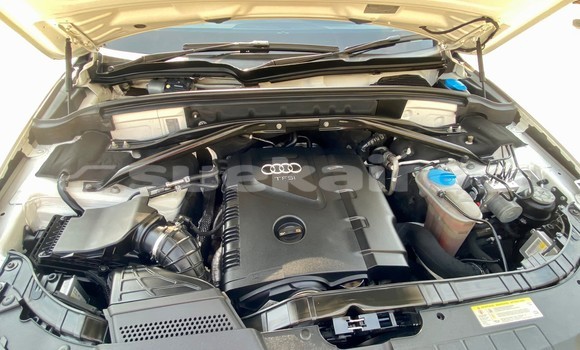 ซื้อ รถมือสอง Audi Q5 ขาว รถยนต์ ใน %{เมือง} ใน กรุงเทพมหานคร ซื้อ รถมือสอง Audi Q5 ขาว รถยนต์ ใน %{เมือง} ใน กรุงเทพมหานคร