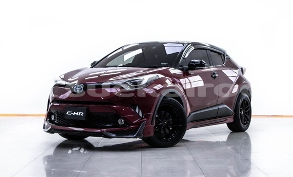 Buy Used Toyota C-HR Black Car in Bangkok in Bangkok