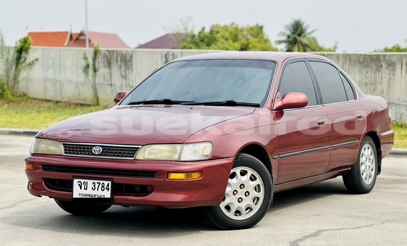 Buy Used Toyota Corolla Red Car in Bangkok in Bangkok Buy Used Toyota Corolla Red Car in Bangkok in Bangkok