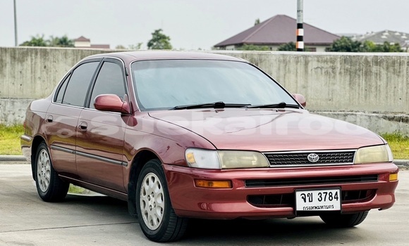 Buy Used Toyota Corolla Red Car in Bangkok in Bangkok Buy Used Toyota Corolla Red Car in Bangkok in Bangkok
