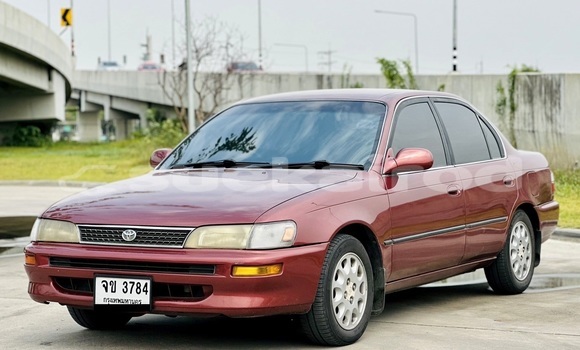 Buy Used Toyota Corolla Red Car in Bangkok in Bangkok Buy Used Toyota Corolla Red Car in Bangkok in Bangkok