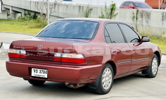 Buy Used Toyota Corolla Red Car in Bangkok in Bangkok Buy Used Toyota Corolla Red Car in Bangkok in Bangkok