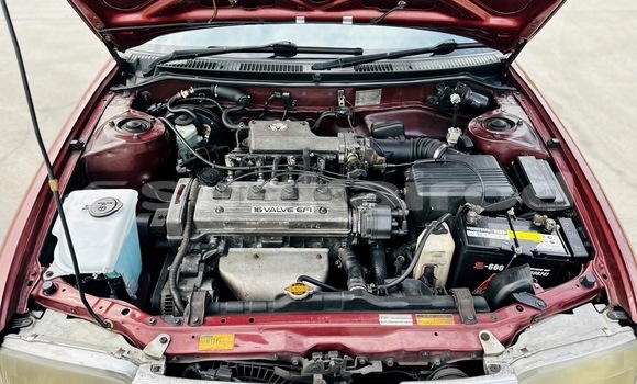 Buy Used Toyota Corolla Red Car in Bangkok in Bangkok Buy Used Toyota Corolla Red Car in Bangkok in Bangkok