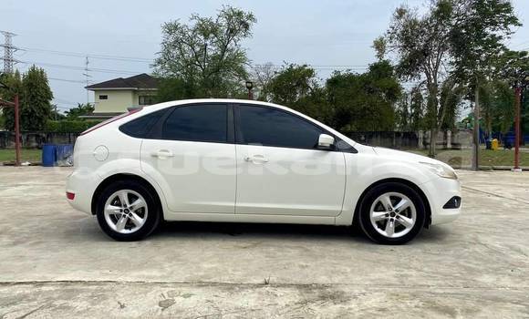 ซื้อ รถมือสอง Ford Focus ขาว รถยนต์ ใน %{เมือง} ใน กรุงเทพมหานคร ซื้อ รถมือสอง Ford Focus ขาว รถยนต์ ใน %{เมือง} ใน กรุงเทพมหานคร