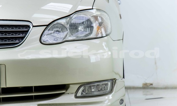 ซื้อ รถมือสอง Honda City สีน้ำตาล รถยนต์ ใน %{เมือง} ใน กรุงเทพมหานคร ซื้อ รถมือสอง Honda City สีน้ำตาล รถยนต์ ใน %{เมือง} ใน กรุงเทพมหานคร