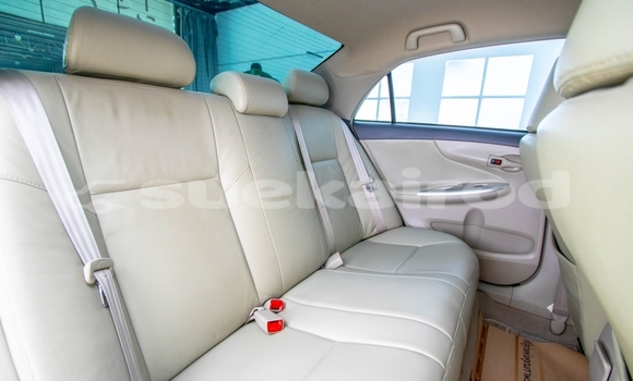 Buy Used Toyota Altis Other Car in Bangkok in Bangkok Buy Used Toyota Altis Other Car in Bangkok in Bangkok