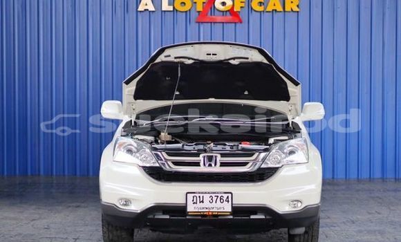 ซื้อ รถมือสอง Honda CR-V ขาว รถยนต์ ใน %{เมือง} ใน กรุงเทพมหานคร ซื้อ รถมือสอง Honda CR-V ขาว รถยนต์ ใน %{เมือง} ใน กรุงเทพมหานคร