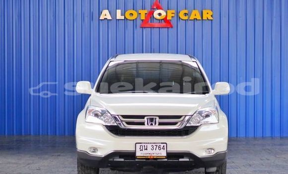ซื้อ รถมือสอง Honda CR-V ขาว รถยนต์ ใน %{เมือง} ใน กรุงเทพมหานคร ซื้อ รถมือสอง Honda CR-V ขาว รถยนต์ ใน %{เมือง} ใน กรุงเทพมหานคร