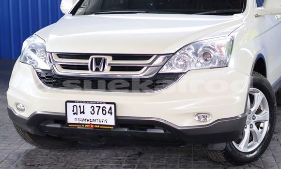 ซื้อ รถมือสอง Honda CR-V ขาว รถยนต์ ใน %{เมือง} ใน กรุงเทพมหานคร ซื้อ รถมือสอง Honda CR-V ขาว รถยนต์ ใน %{เมือง} ใน กรุงเทพมหานคร