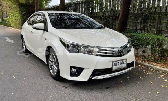 ซื้อ รถมือสอง Toyota Altis ขาว รถยนต์ ใน %{เมือง} ใน กรุงเทพมหานคร ซื้อ รถมือสอง Toyota Altis ขาว รถยนต์ ใน %{เมือง} ใน กรุงเทพมหานคร