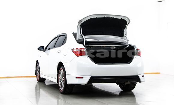 Buy Used Toyota Altis White Car in Bangkok in Bangkok Buy Used Toyota Altis White Car in Bangkok in Bangkok